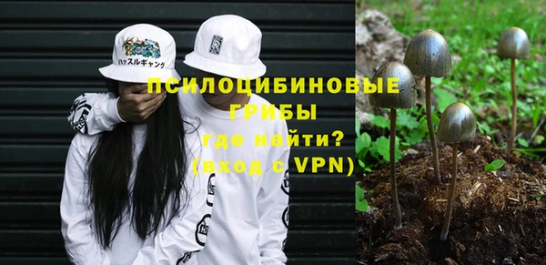 твердый Абдулино