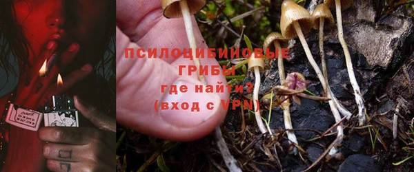 стафф Абаза
